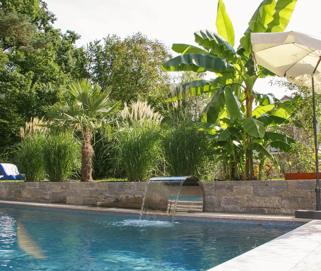 Pool with waterfall, palms and banana plants behind in Villingen-Schwenningen