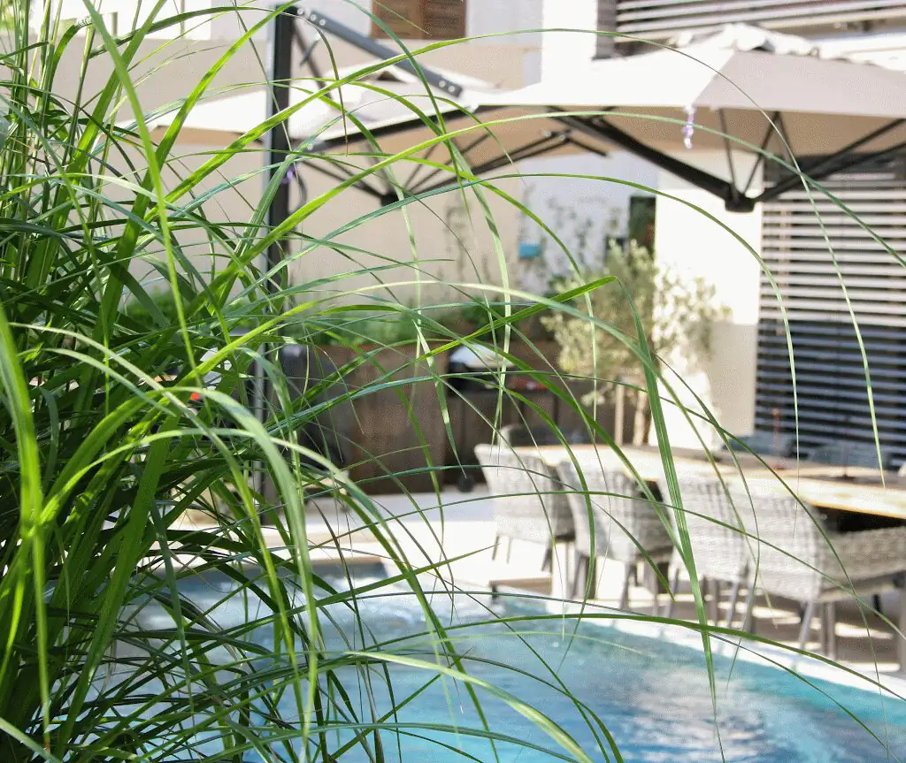 Ornamental grasses and parasol at the pool edge in Villingen-Schwenningen