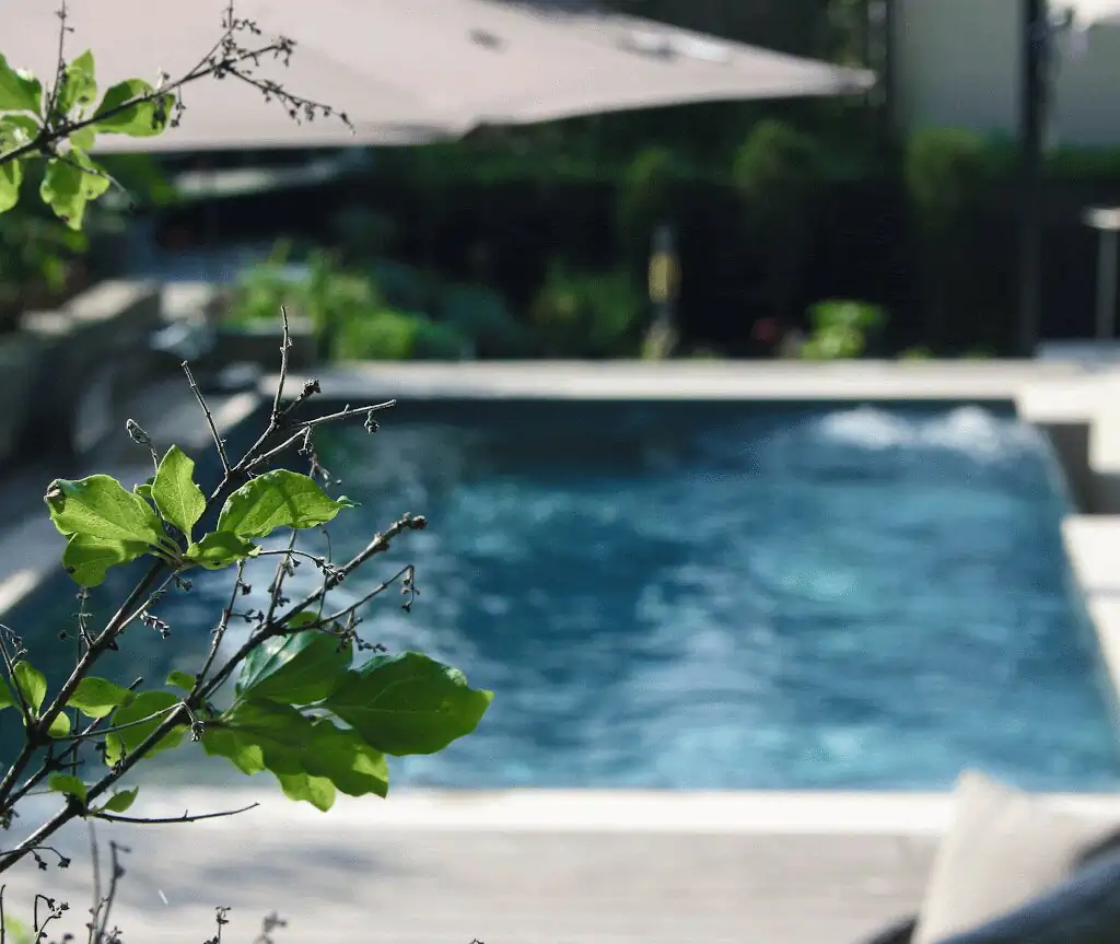 Pool in backlight, seen through leaves in Villingen-Schwenningen