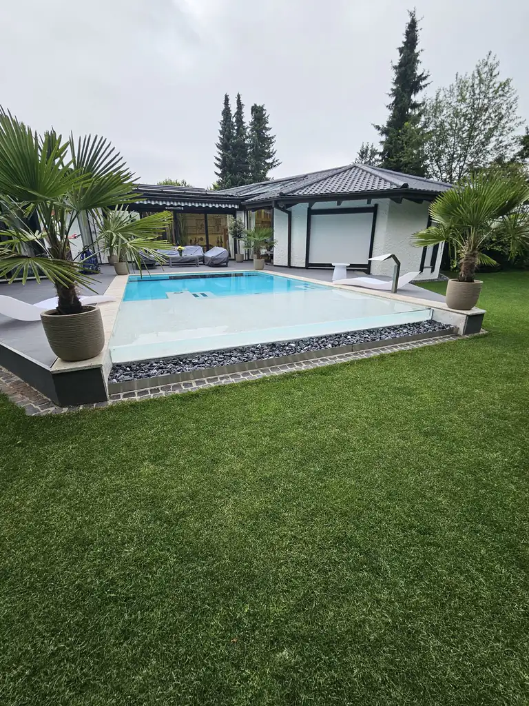 Pool with overflow edge in front of the pool house, flanked by palms in Villingen-Schwenningen