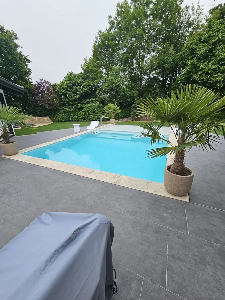 Pool with travertine coping and a potted palm in Villingen-Schwenningen