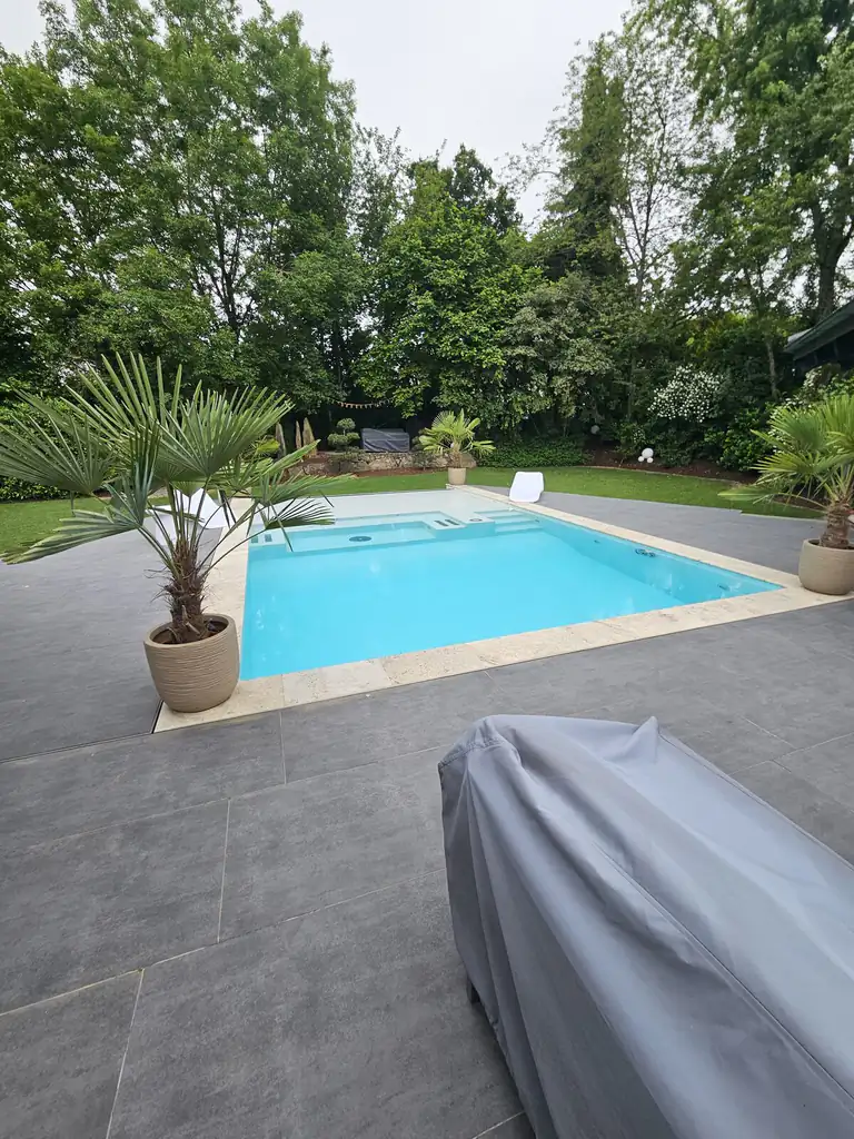 View across the large-format terrace to the pool with two palms in Villingen-Schwenningen